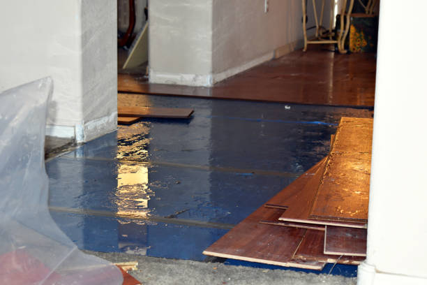 Professional Sewage Cleanup technician working in Montezuma, IA